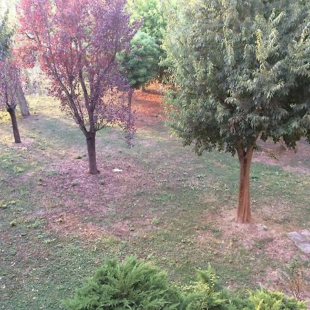 Bed & Breakfast Da Eliana Molinella Dış mekan fotoğraf