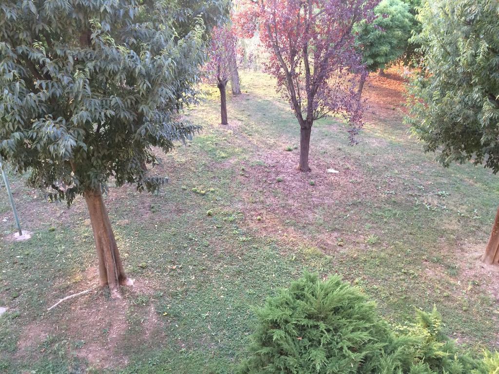 Bed & Breakfast Da Eliana Molinella Dış mekan fotoğraf